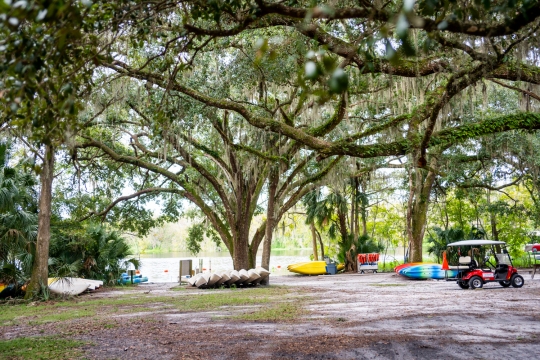 DSC08915