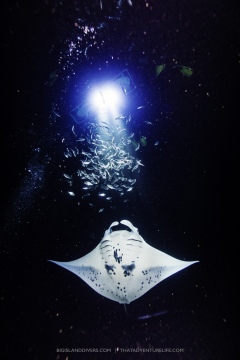 image-5-3-copy