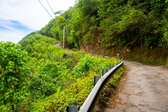 DSC00793