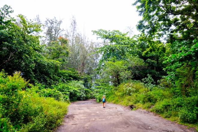 DSC00853