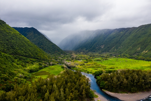 DJI_0913