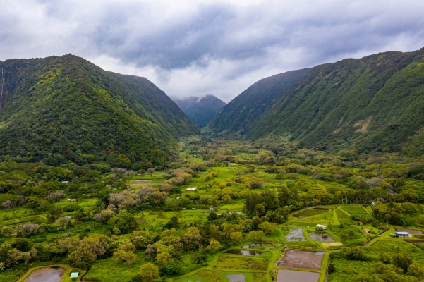 DJI_0937