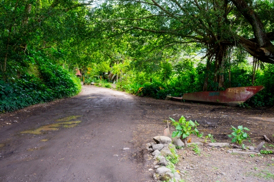 DSC01137