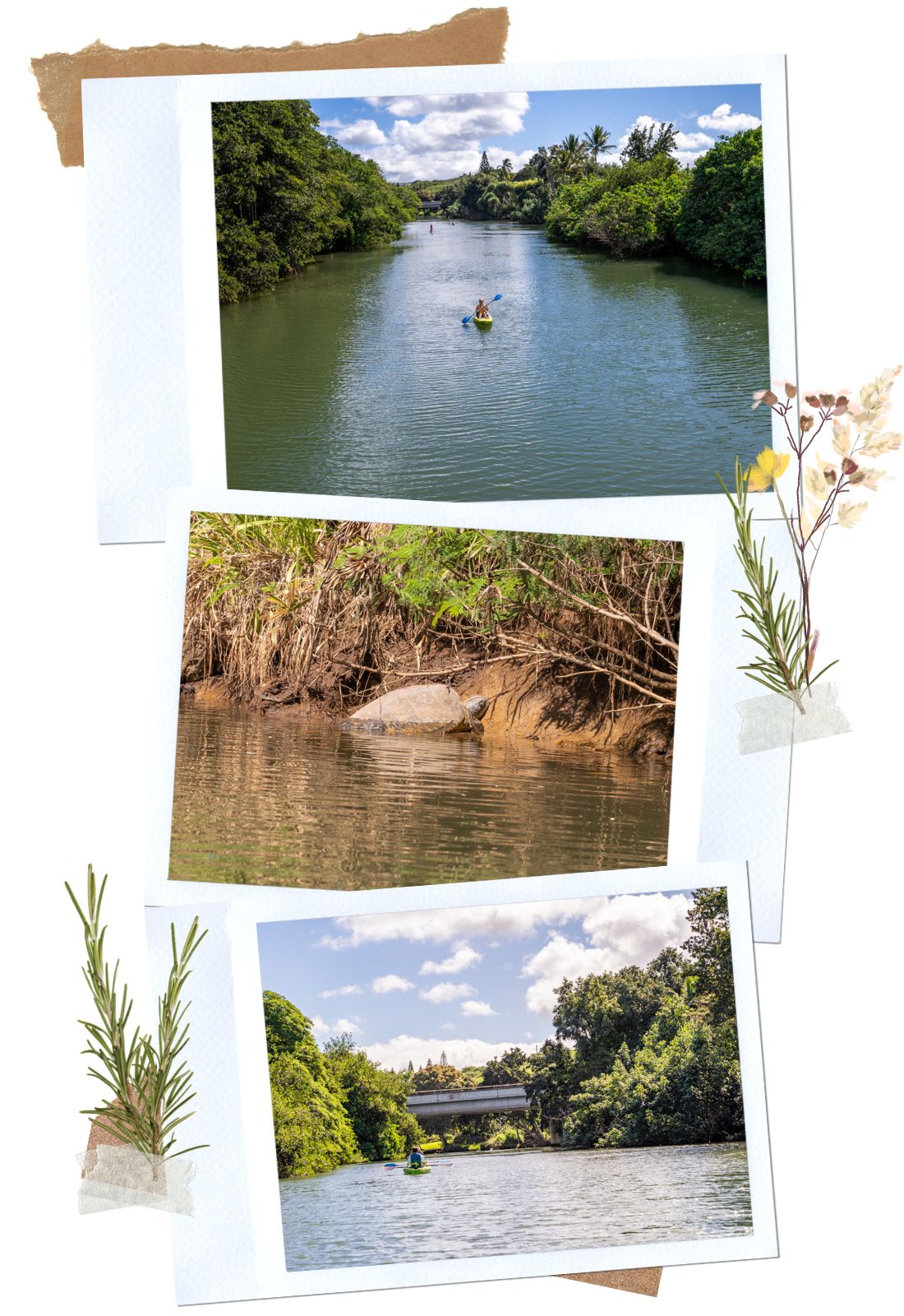 Kayak or Paddleboard on the Anahulu River - 10 off the beaten path things to do in Oahu