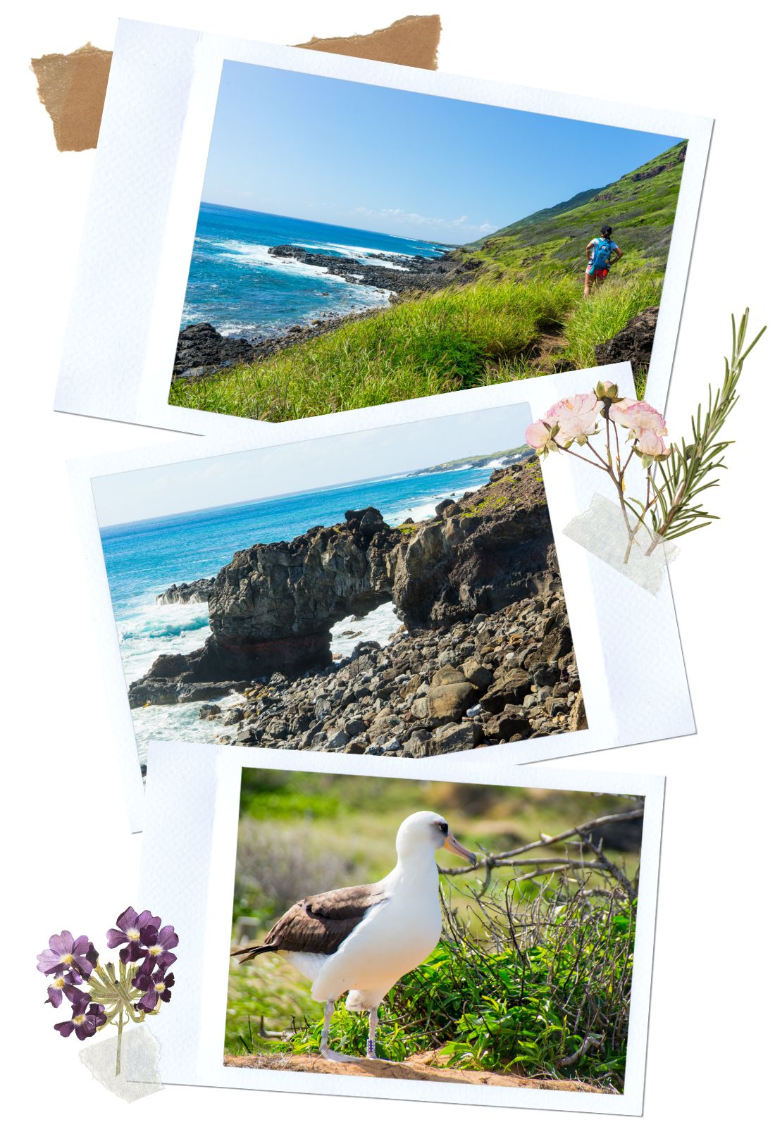 Kaena Point - 10 off the beaten path things to do in Oahu