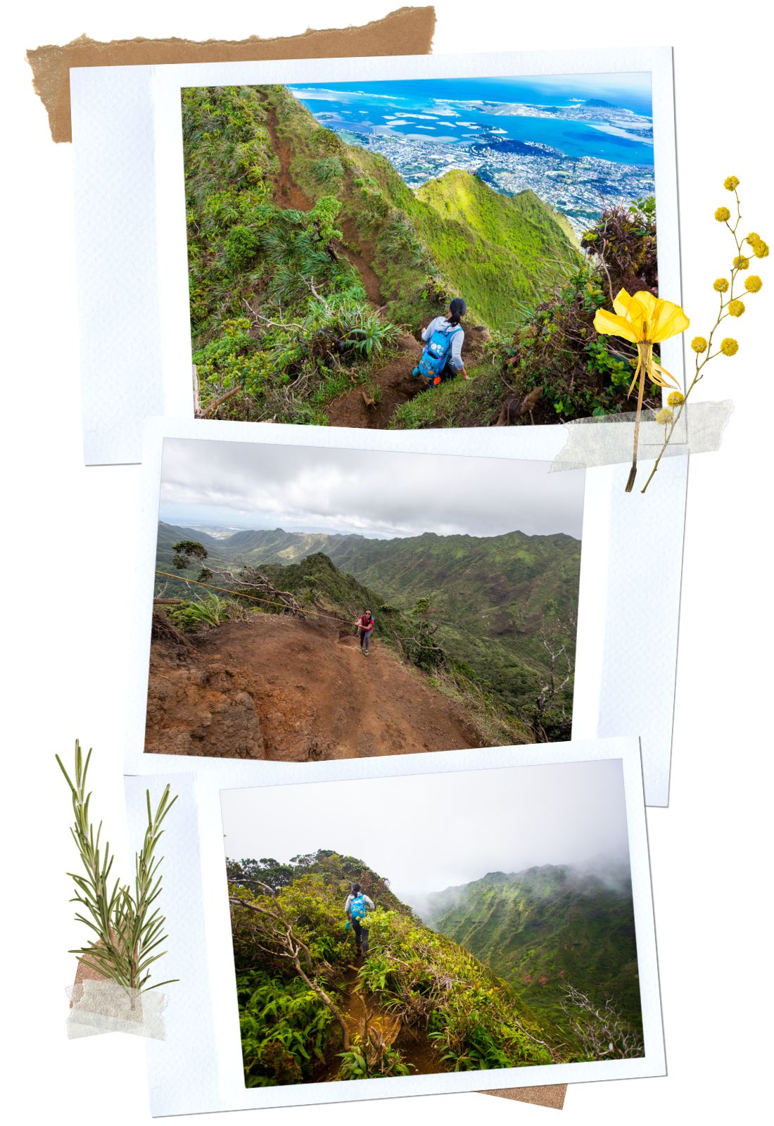 Moanalua Valley Middle Ridge - 10 off the beaten path things to do in Oahu