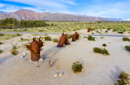 Serpent sculpture at Galleta Meadows