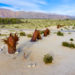 Serpent sculpture at Galleta Meadows