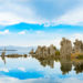 Mono Lake Tufa