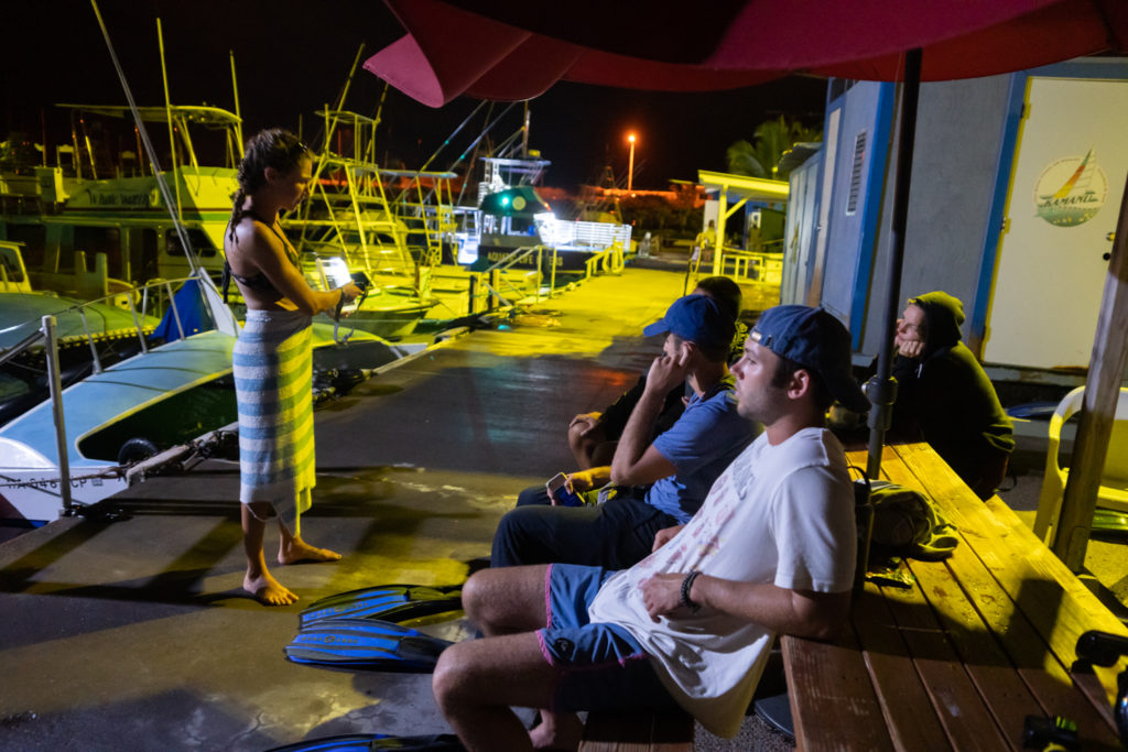 Late night Snorkel with Manta Rays with Big Island Divers, Kona