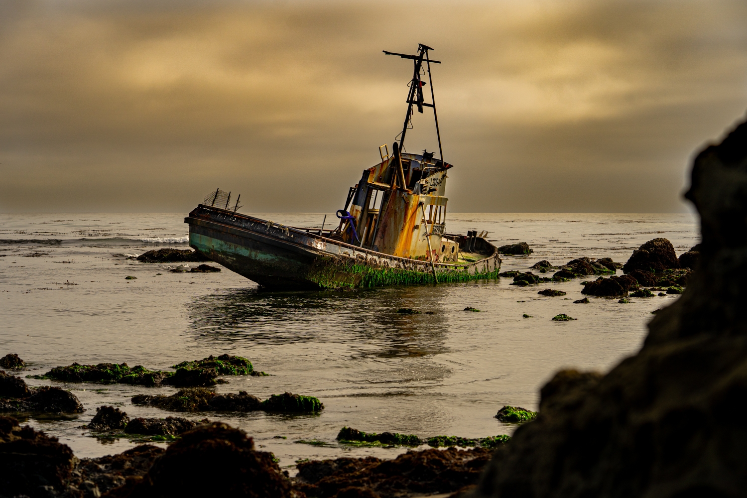 Cayucos Shipwreck - Highway 1, CA