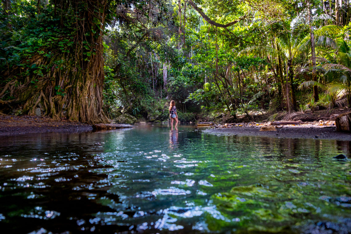 Onomea Bay Trail