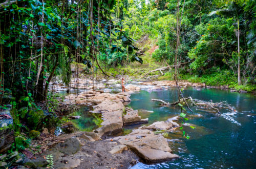 Onomea (Pepe'ekeo) Scenic Drive