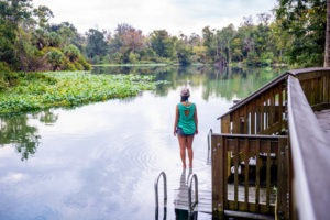 Wekiwa Springs State Park