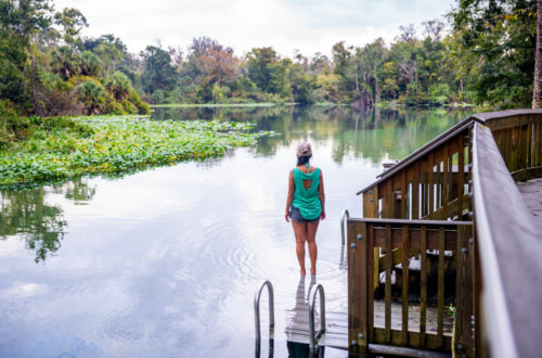 Wekiwa Springs State Park