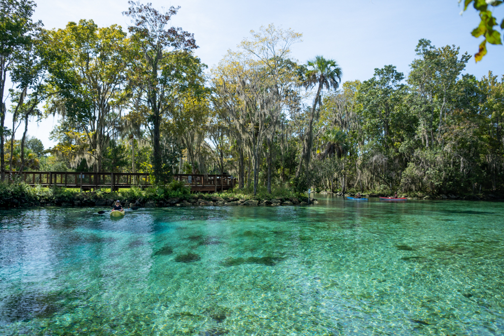 Three Sisters Springs, Crystal River, FL