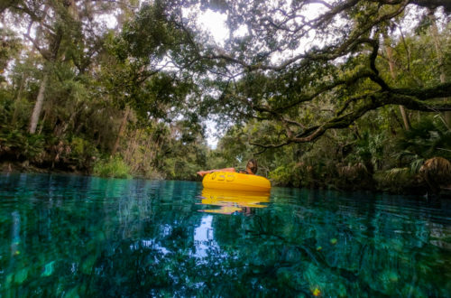 Blue Spring State Park - tubing