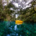 Blue Spring State Park - tubing