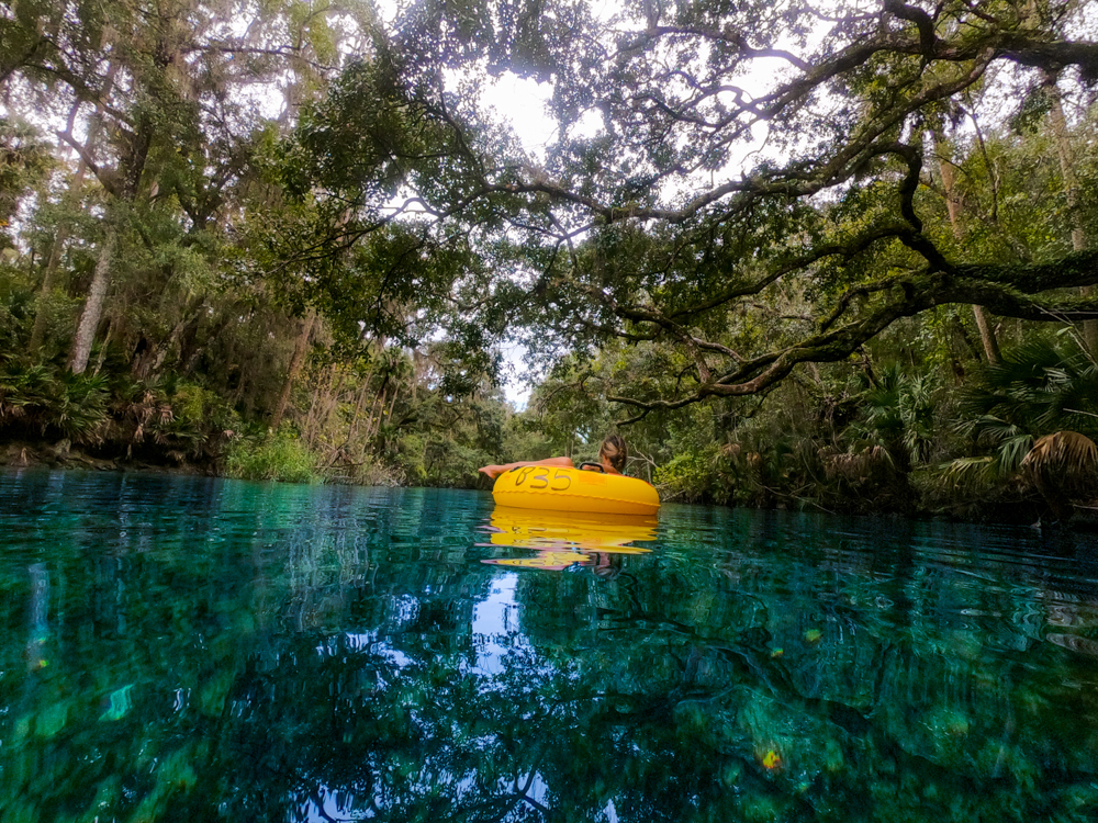 Blue Spring State Park - tubing