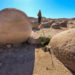 Pumpkin Patch - Anza Borrego Desert State Park