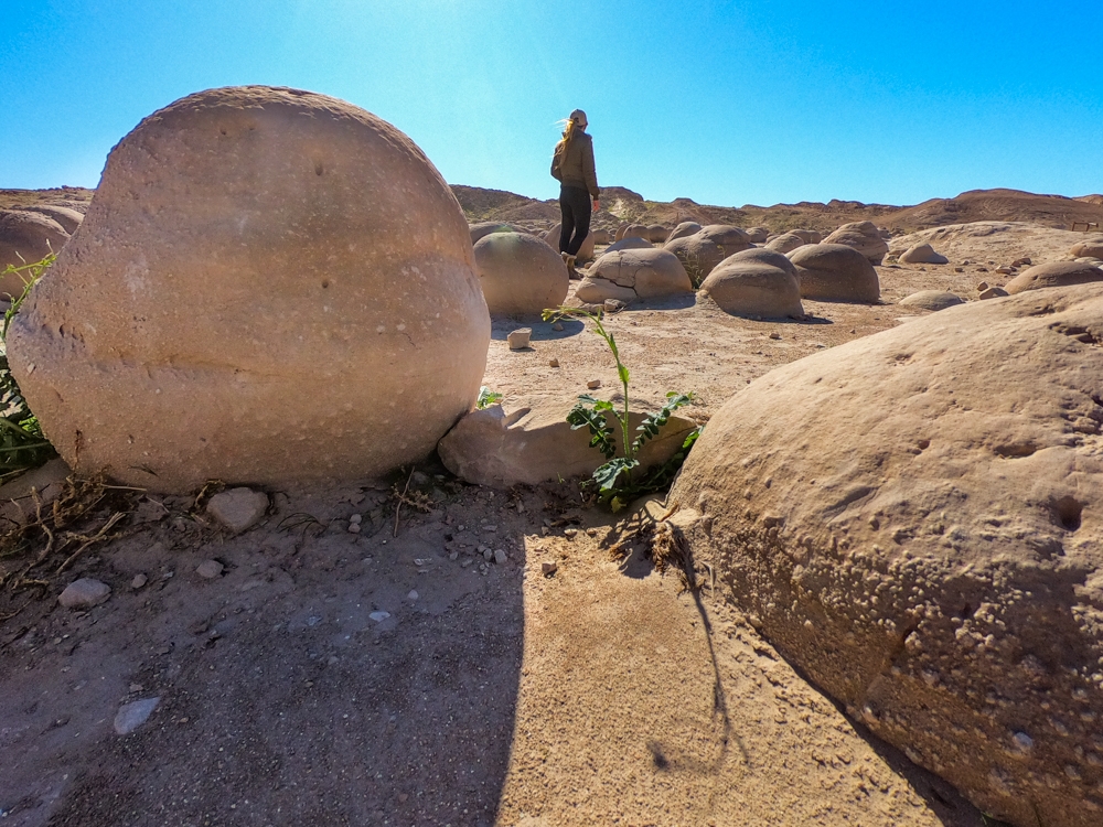 Pumpkin Patch - Anza Borrego Desert State Park