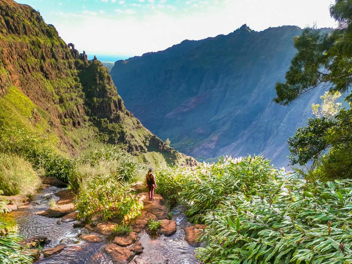 Waimea Canyon Trail to Waipoo Falls with That Adventure Life