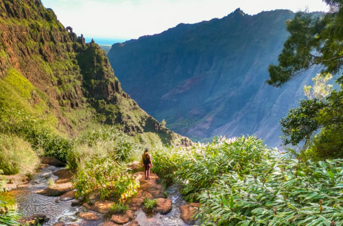 Waimea Canyon Trail to Waipoo Falls with That Adventure Life