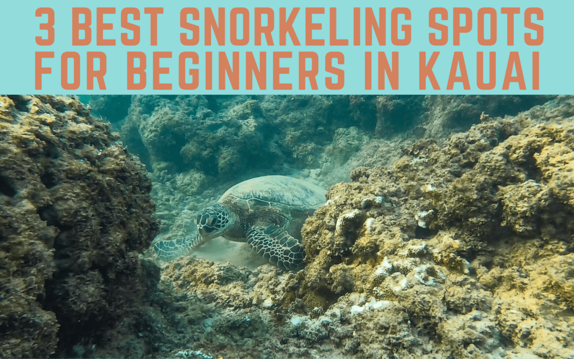 3 best snorkeling spots in Kauai for beginners