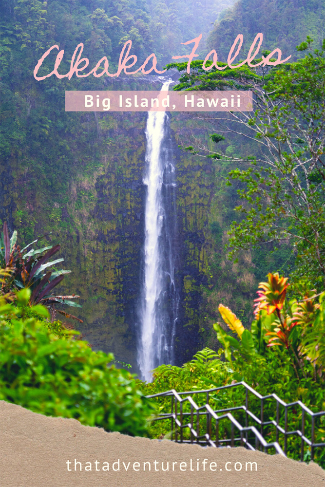 Akaka Falls Hike, Big Island, Hawaii Pin 3