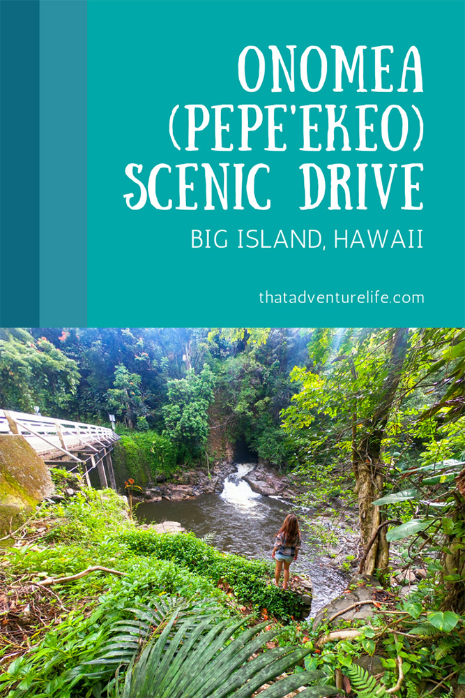 Onomea (Pepe'ekeo) Scenic Drive - Hilo, HI Pin 2