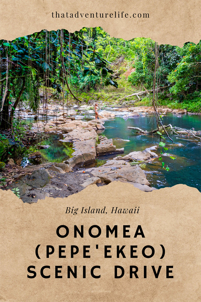 Onomea (Pepe'ekeo) Scenic Drive - Hilo, HI Pin 3