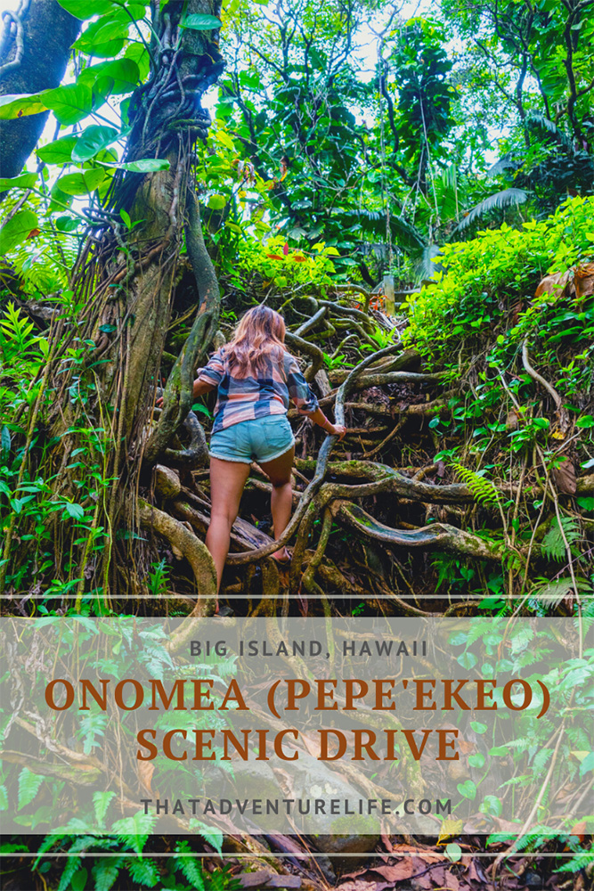 Onomea (Pepe'ekeo) Scenic Drive - Hilo, HI Pin 1