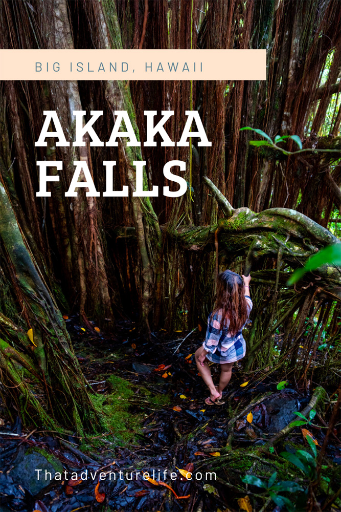 Akaka Falls Hike, Big Island, Hawaii Pin 1