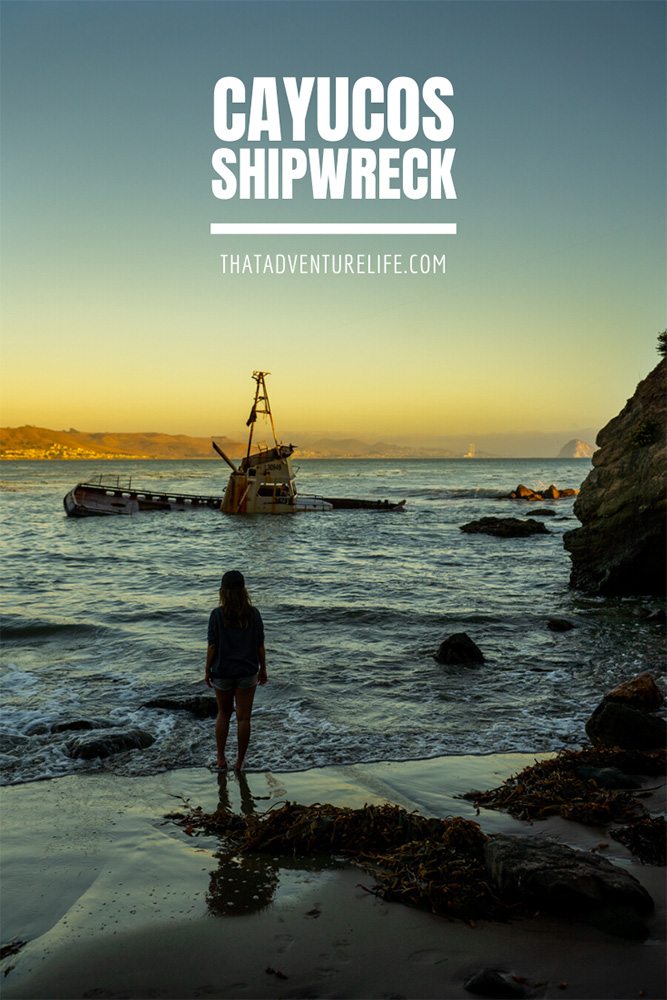 Cayucos Shipwreck - Pacific Coast Highway, CA Pin 1