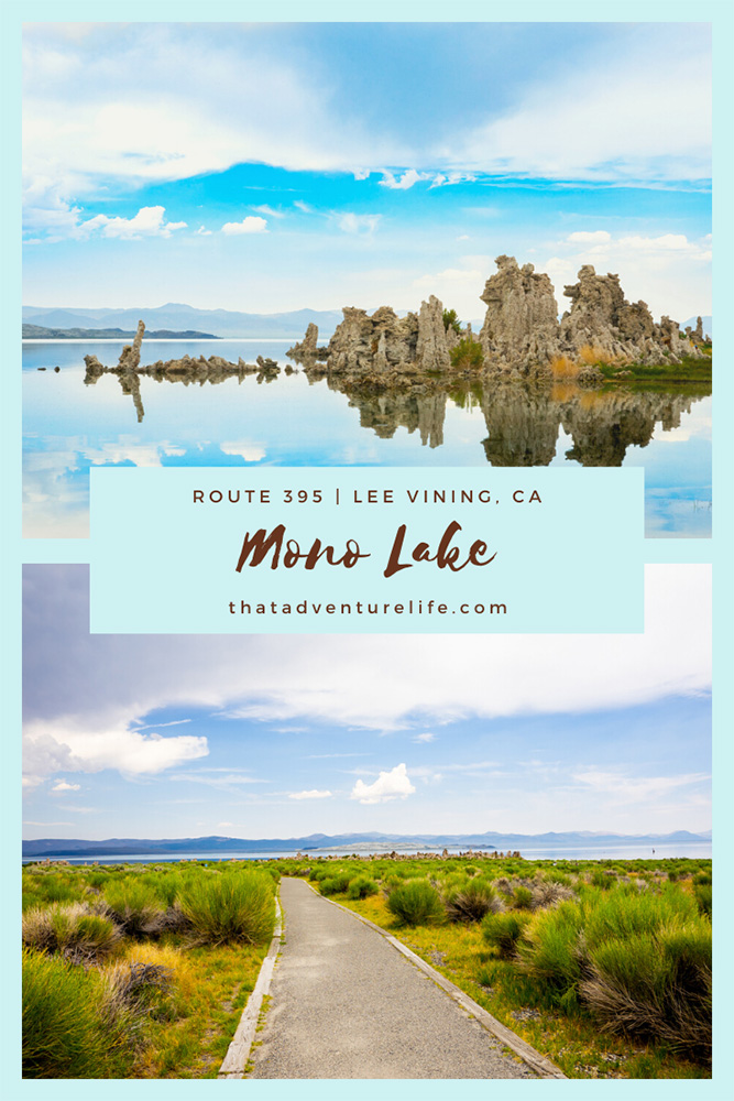 Mono Lake along Route 395, Lee Vining, CA Pin 3