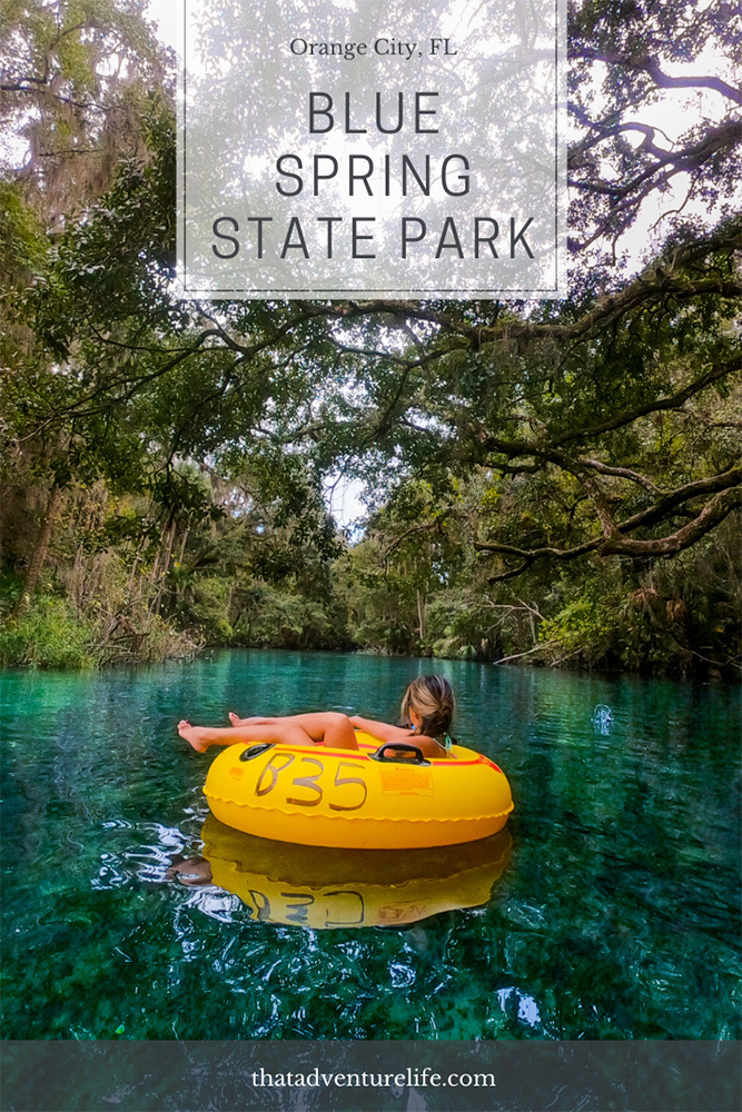 Blue Spring State Park, Orange City, FL Pin 3