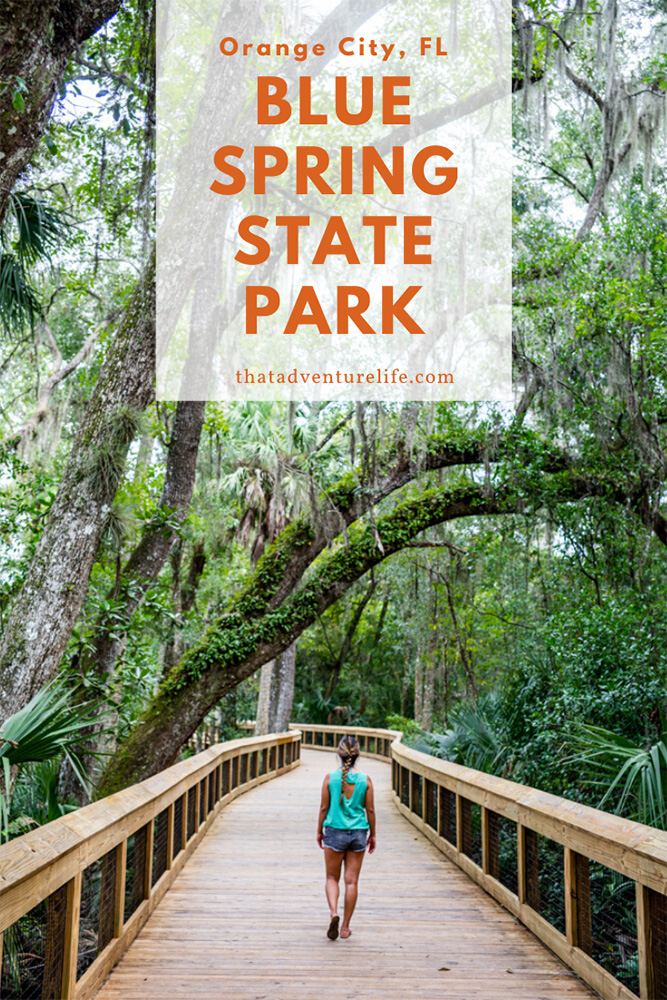 Blue Spring State Park, Orange City, FL Pin 1