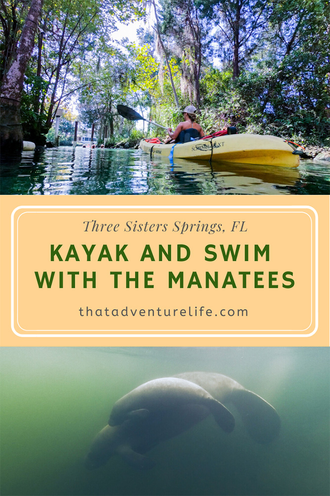 Swim with the Manatees in Three Sisters Springs, Crystal River, FL