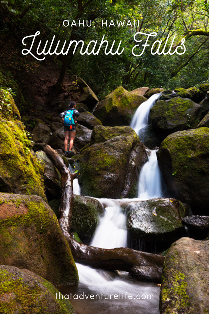 Lulumahu Falls - Oahu, Hawaii Pin  2