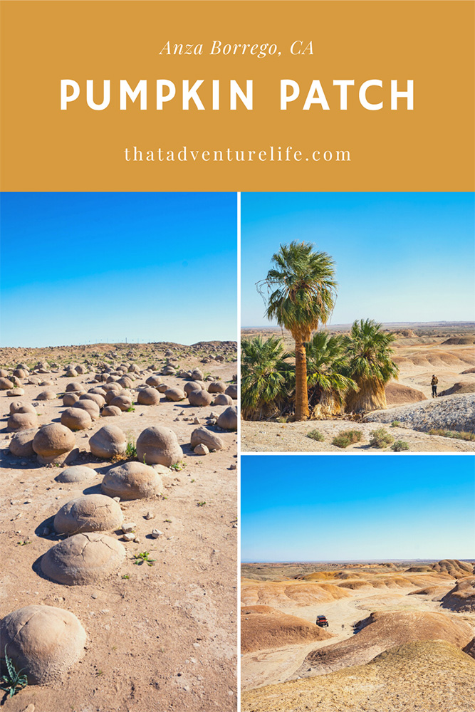 Pumpkin Patch - Anza Borrego Desert State Park, CA Pin 3