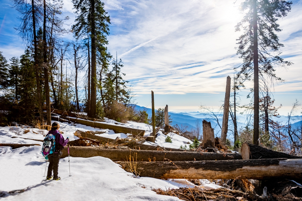 Snowshoeing to Moro Rock and Tunnel Log in Sequoia National Park, CA