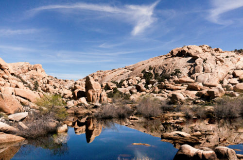 Barker Dam on Barker Dam trail, Joshua Tree National Park when it's full of water