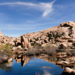 Barker Dam on Barker Dam trail, Joshua Tree National Park when it's full of water