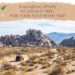 Amazing Stops for your road trip to Joshua Tree National Park_Feature Image