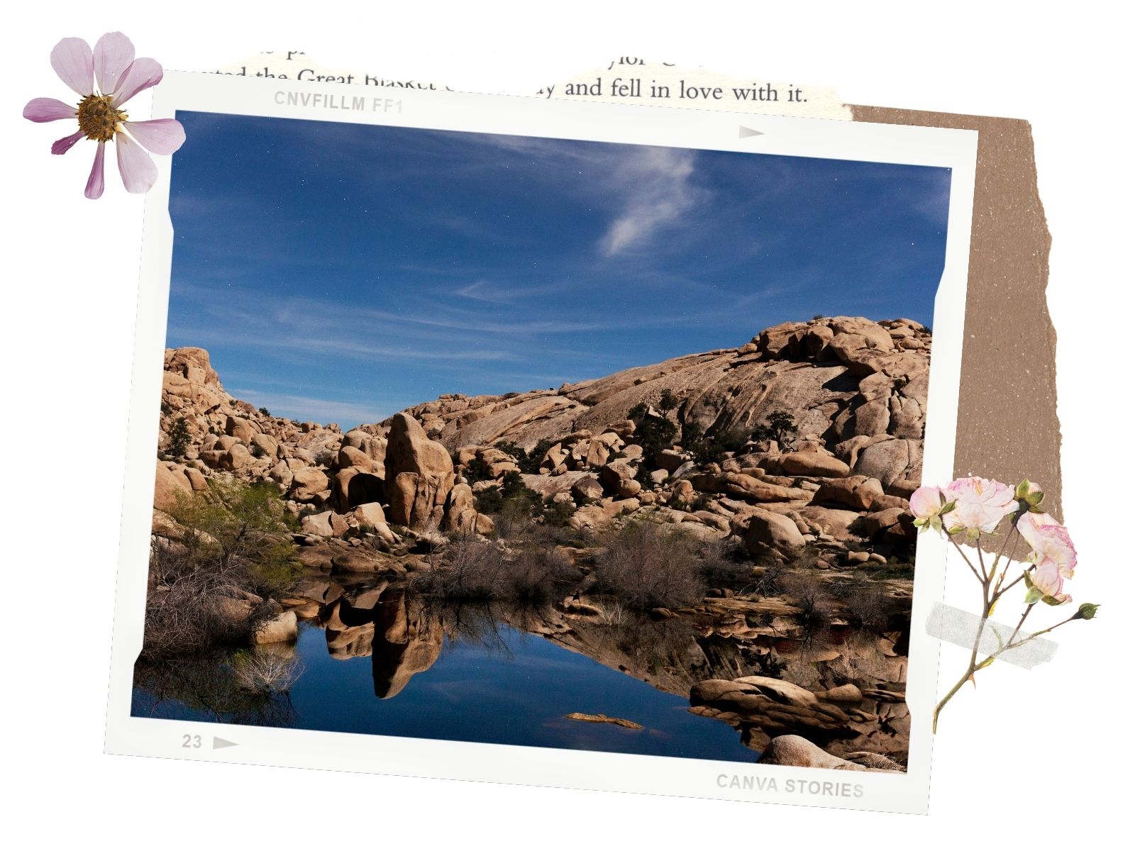 road trip to Joshua Tree National Park: Barker Dam