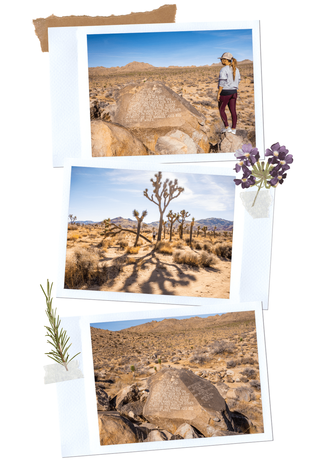 road trip to Joshua Tree National Park: Samuelson's Rocks