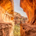 Boynton Canyon Trail and the Secret Subway Cave in Sedona, AZ