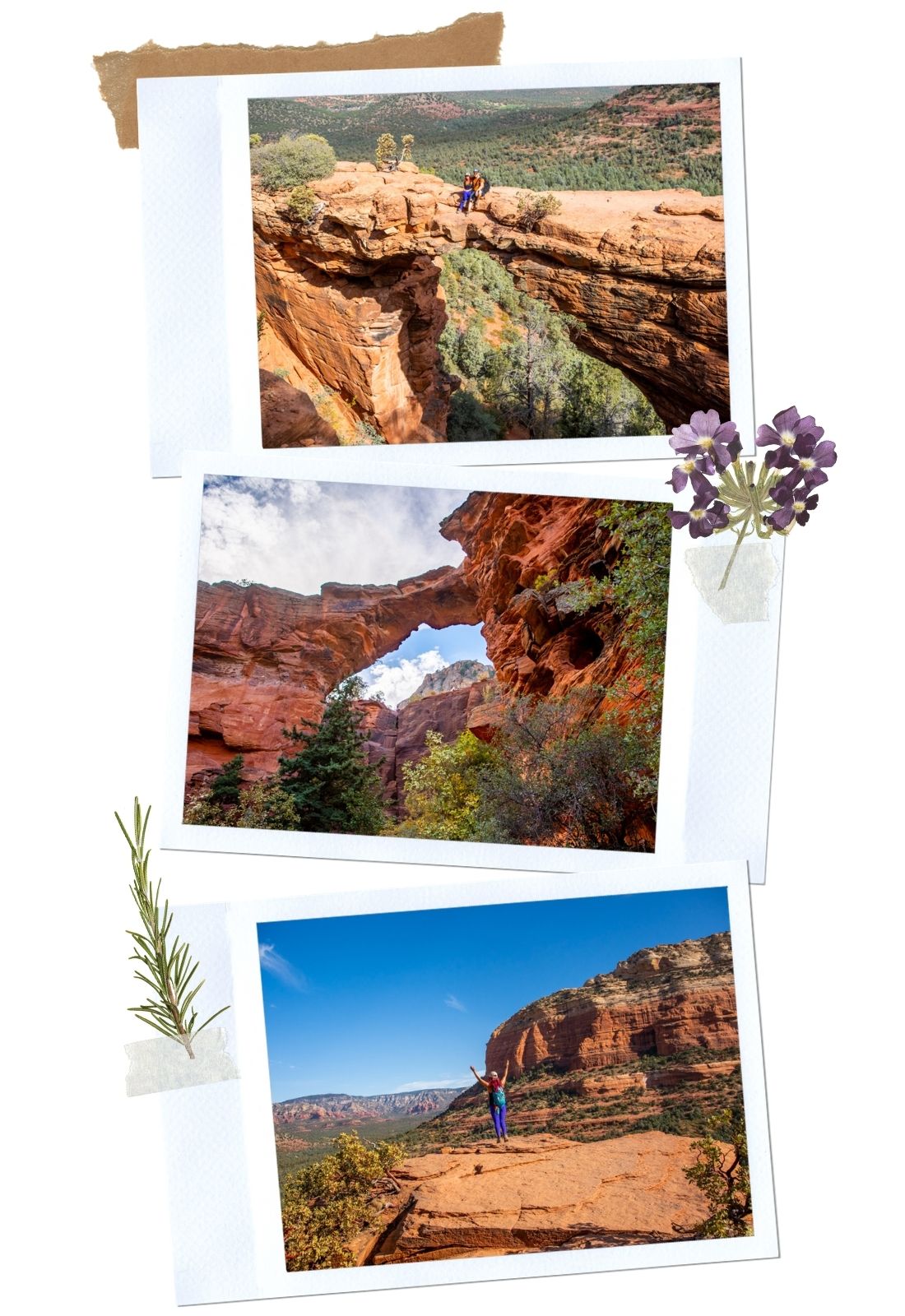 9 Amazing Hikes in Sedona for Your Next Road Trip: Devil's Bridge Trail