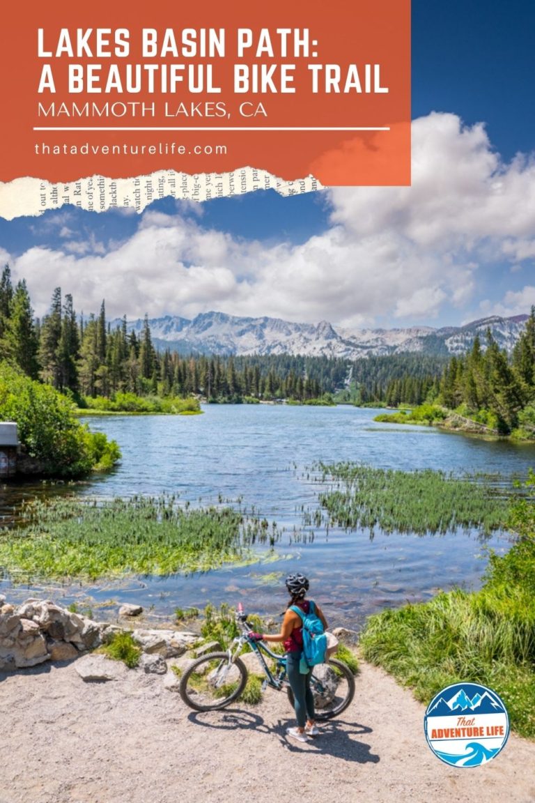 Lakes Basin Bike Path in Mammoth Lakes: Pinterest Pin 1