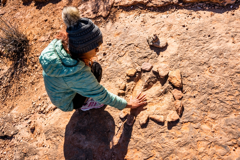 Exploring Dinosaur Tracks, an Interesting Hike Near Kanab, UT